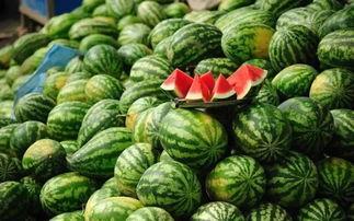 北美网红吃瓜事件真相揭秘,揭秘背后真相与真相背后的真相